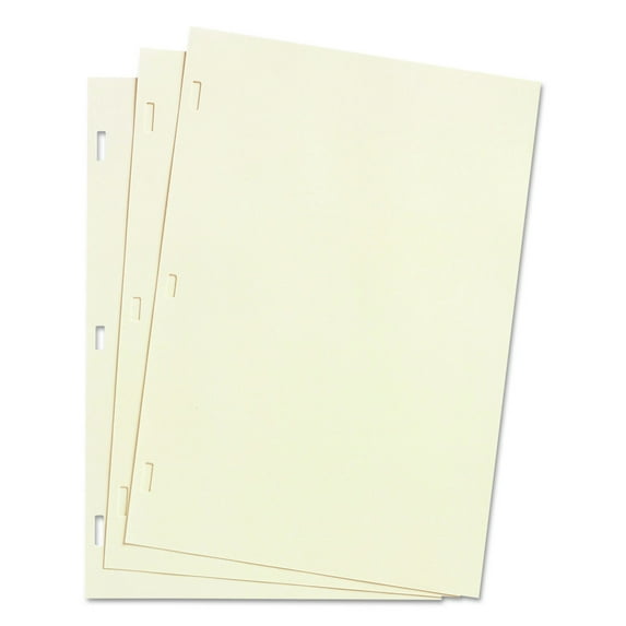 14 in. x 8.5 in. Looseleaf Minute Book Ledger Sheets - Ivory (100/Box)