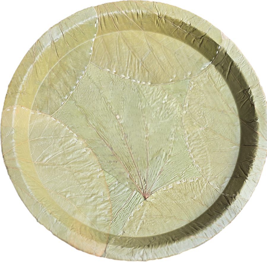 14 inch Sal Leaf plate