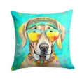 thumbnail image 1 of 14 x 14 in. Unisex Weimaraner Hippie Dawg Fabric Decorative Pillow, 1 of 1