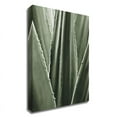 thumbnail image 1 of 14" x 18" Leaf I by Incado - Wall Art Print on Canvas Fabric White, 1 of 3