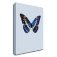 thumbnail image 1 of 14" x 19" Blue Butterfly by Incado - Wall Art Print on Canvas Fabric White, 1 of 3