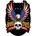 thumbnail image 1 of 14 x 19 in. Lethal Angel Born Free Eagle Plasma Metal Sign, 1 of 1