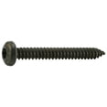 thumbnail image 1 of #14 x 2" Black Steel Star Drive Pan Head Sheet Metal Screws (8 pcs.), 1 of 1