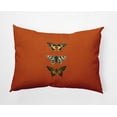 thumbnail image 1 of 14" x 20" Simply Daisy Butterflies Indoor/Outdoor Pillow, Perfect Orange Qty 1, 1 of 3