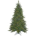 thumbnail image 1 of 14' x 90" Durango Spruce Tree, 1 of 2
