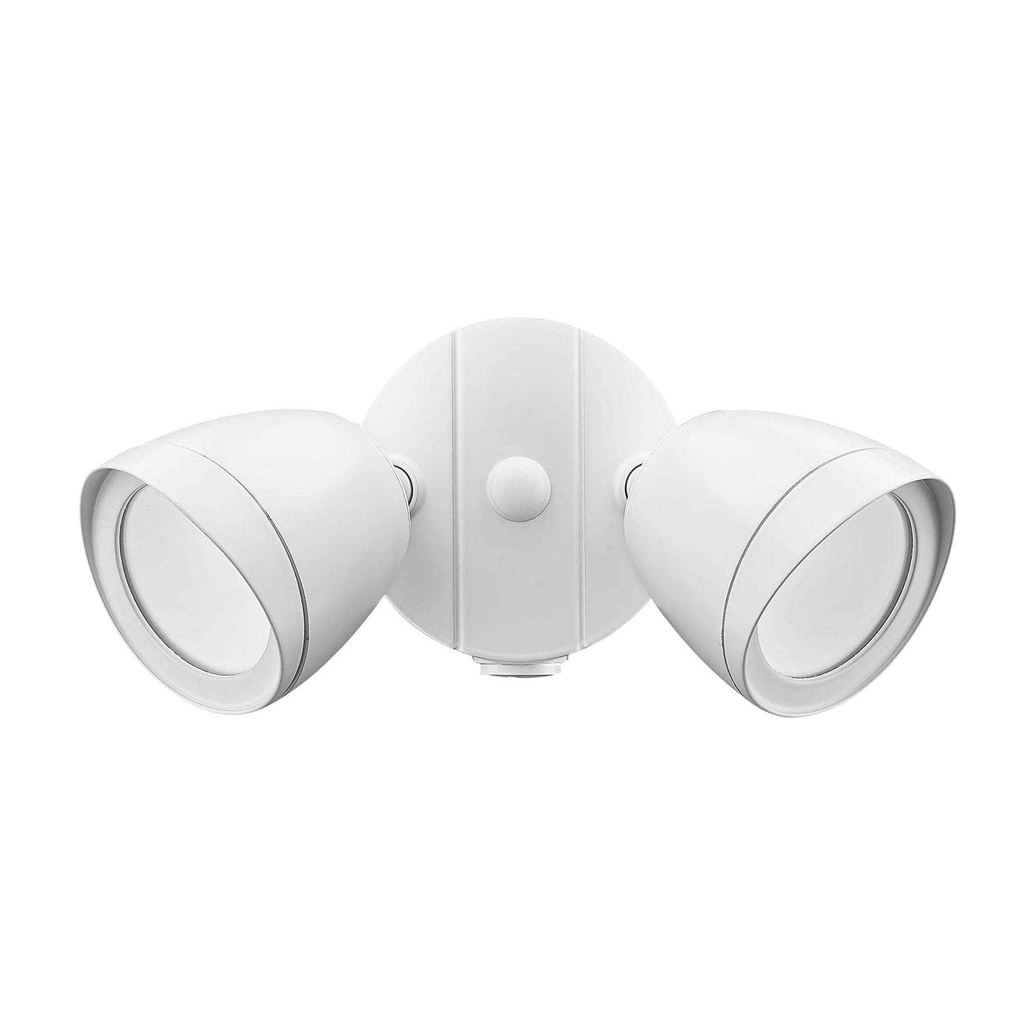 Millennium Lighting   2 Light Flood Lights Matte White