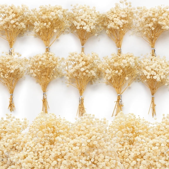 140Pcs Mini Dried Baby's Breath Flowers, 6'' Natural Ivory White Flowers for Resin Art Craft DIY, 6000+ Pressed Gypsophila Bouquet Present for Valentine's Day, Wedding Wreath, Card Making, Home Decor
