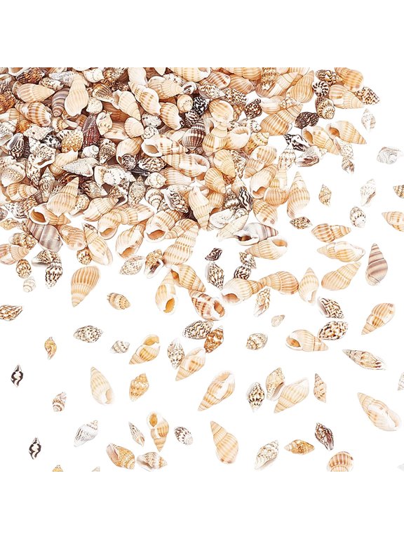 140g Tiny Sea Shell Ocean Beach Spiral Seashells Craft Charms for Candle Making Home Beach Theme Party Wedding Decor Resin Filler Fish Tank and Vase Filler No Hole