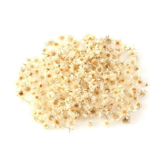 Real Dried Flower For Aromatherapy Candle DIY Epoxy Resin Craft