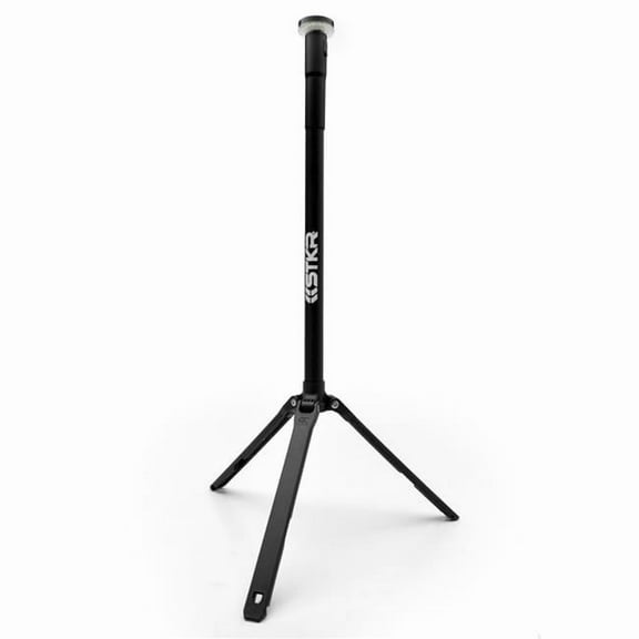 14206 FLi Telescoping Area Light