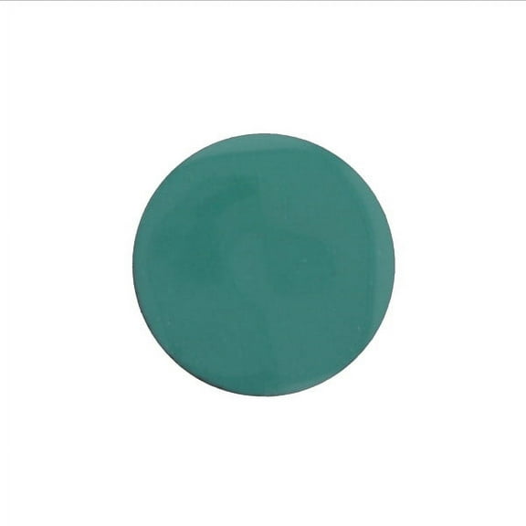 1430 Spruce Green Thompson Opaque Enamel 2 Ounce