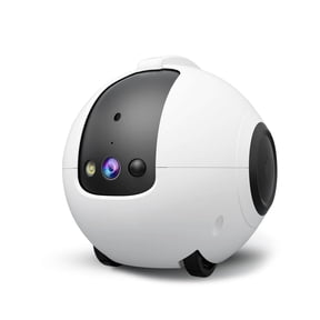 Robot Camera on Wheels for Mobile Monitoring