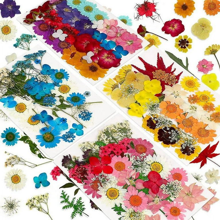 144PCS Natural Dried Pressed Flowers for Resin,Dry Flower Natural Kit for  Candle,Epoxy Resin,DIY Art Crafts 