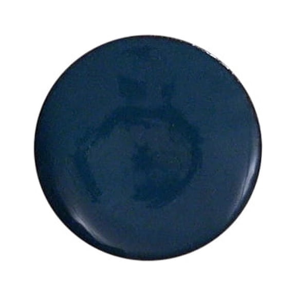 1465 Peacock Blue Thompson Opaque Enamel 2 Ounce