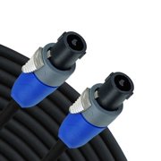 RapcoHorizon 14GA Speaker Cable 3'
