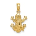 thumbnail image 1 of 14K Gold 2-D Textured Top View Frog Charm, 1 of 4