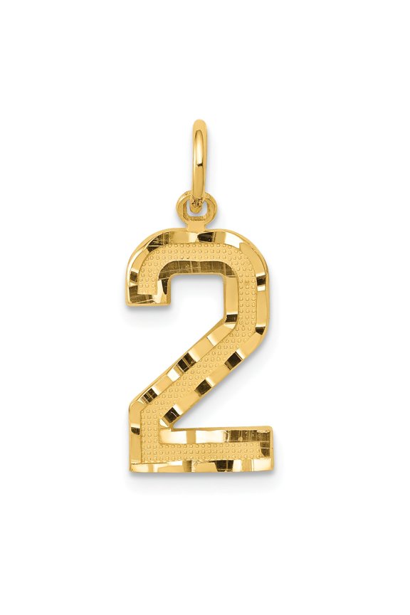 14K Gold Medium Number 2 Charm Pendant FindingKing