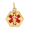 thumbnail image 1 of 14K Gold Red Enamel Medical Jewelry Pendant, 1 of 4