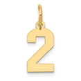 thumbnail image 1 of 14K Gold Small Polished Number 2 Charm, 1 of 4