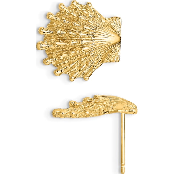 Jewelry by Sweet Pea 14K Yellow Gold Lion's Paw Shell Post Earrings