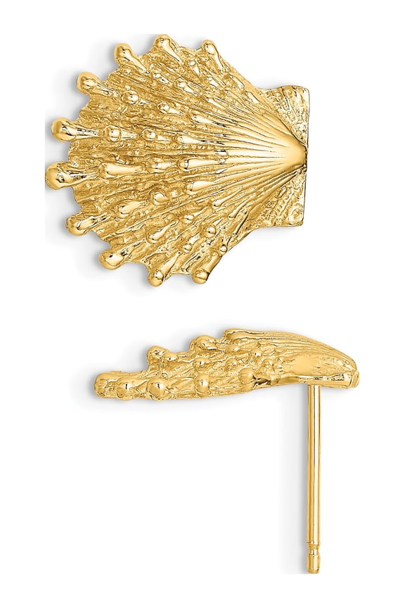 14K Yellow Gold Statement, Delicate, Dazzling Polished 13.9 Mm 13.5 Lion'S Paw Shell Post Earrings