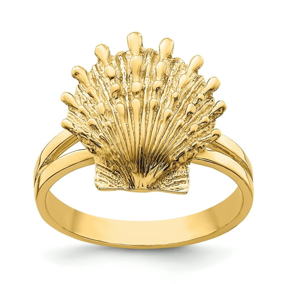 14K Lion's Paw Shell Ring R678
