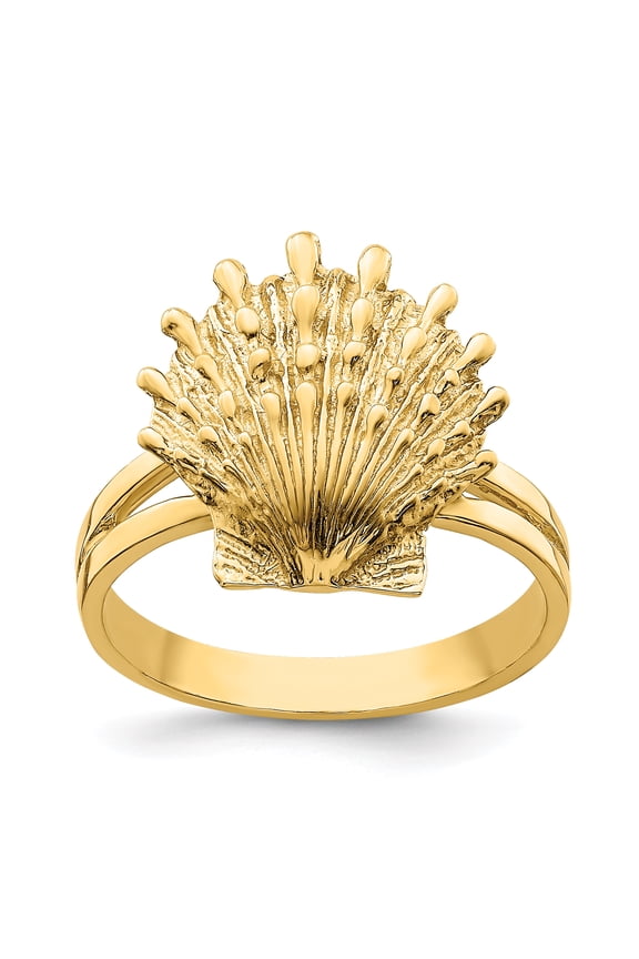 14K Lion's Paw Shell Ring R678