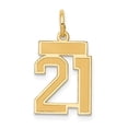 thumbnail image 1 of 14K Small Satin Number 21 Charm, 1 of 1