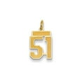 thumbnail image 1 of 14K Small Satin Number 51 Charm, 1 of 1