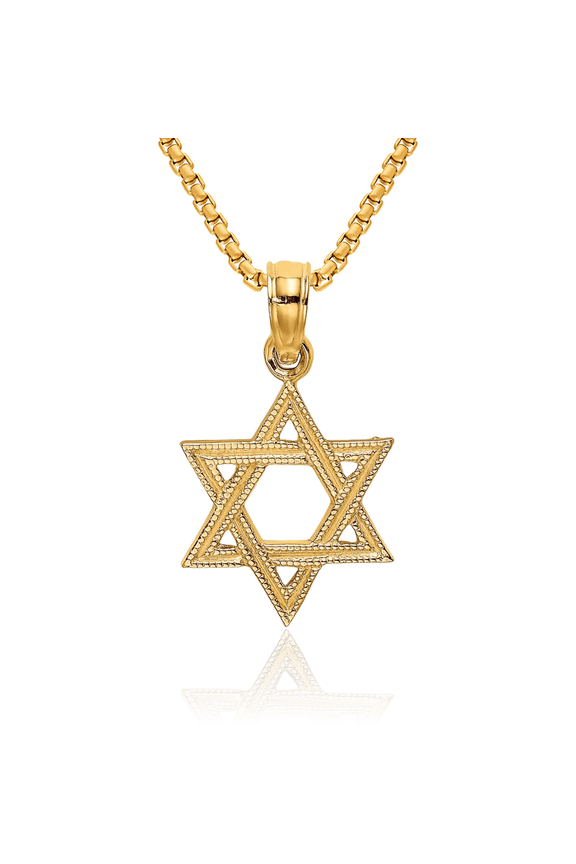 14K Solid Yellow Gold Star of David Jewish Magen Necklace Judaica Religious Chain Pendant Israel Charm
