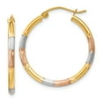 thumbnail image 1 of 14K Tri-color 2mm Diamond-cut Earrings, 1 of 1