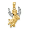 thumbnail image 1 of 14K Two-Tone Gold Charm Pendant Themed White Concave Diamond-Cut 25.5 mm, 1 of 4