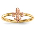 thumbnail image 1 of 14K Two-Tone Gold Ring Band Themed Textured Back Polished Fleur de Lis, 1 of 4