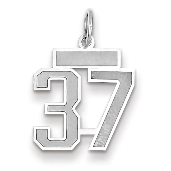 14K WG Small Satin Number 37 Charm