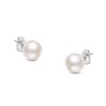 thumbnail image 1 of 14K White Gold Round Freshwater Akoya Cultured 6.5-7MM Pearl Stud Earrings AAA+ Quality, 1 of 6