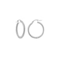 thumbnail image 1 of 14K White Gold Twisted Rope Hoop Earrings - Women, 1 of 4