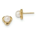 thumbnail image 1 of 14K Yellow Gold 5-6mm White Near Round Freshwater Cultured Pearl Post Earrings, 1 of 5