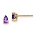 thumbnail image 1 of 14K Yellow Gold 5 x 3 mm Pear Amethyst Earrings, 1 of 1