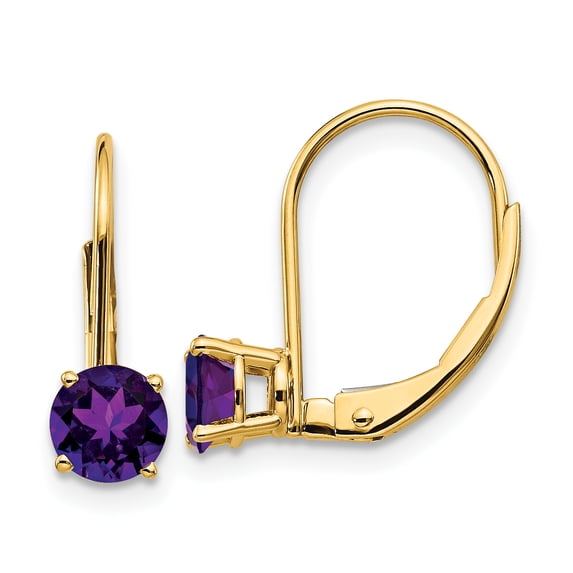 14K Yellow Gold 5mm Amethyst Leverback Dangle Earrings