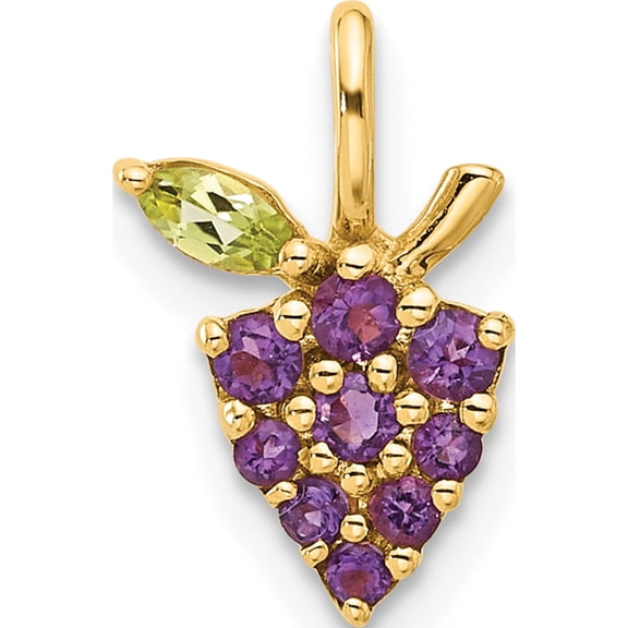 14K Yellow Gold Amethyst And Peridot Grapes Chain Slide (Width 8.75) (Length 13.67) - Jbsp