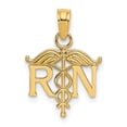 thumbnail image 1 of 14K Yellow Gold Charm Pendant 15 mm 12 Registered Nurse, 1 of 4