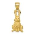thumbnail image 1 of 14K Yellow Gold Charm Pendant 25.5 mm 10 Diamond-Cut Rabbit, 1 of 4