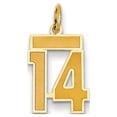 thumbnail image 1 of 14K Yellow Gold Charm Pendant Themed 14 Small Satin Number, 1 of 1