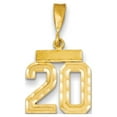 thumbnail image 1 of 14K Yellow Gold Charm Pendant Themed 20 Diamond-Cut, 1 of 1