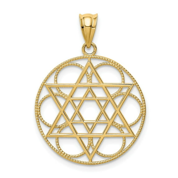 14K Yellow Gold Charm Pendant Themed 31 mm 22 Star Of David Circle