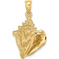 thumbnail image 1 of 14K Yellow Gold Conch Shell Charm (27 X 16.8) Made In United States k8129, 1 of 5