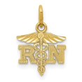 thumbnail image 1 of 14K Yellow Gold Diamond-Cut Polished RN Nurse Pendant, 1 of 1