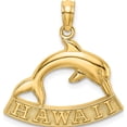 thumbnail image 1 of 14K Yellow Gold Hawaii Dolphin Charm (21.35 X 21.2) Made In United States k7911, 1 of 5