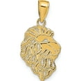 thumbnail image 1 of 14K Yellow Gold Lion Head Pendant (26 X 12) Made In Peru d4225, 1 of 6