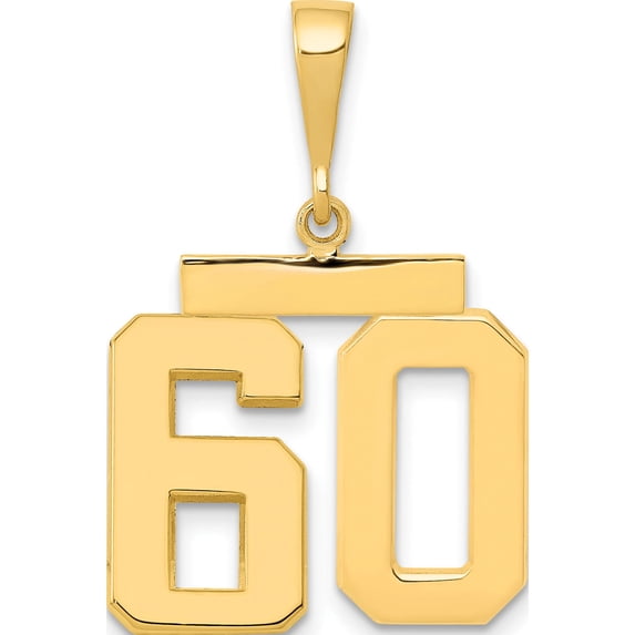 14K Yellow Gold Medium Polished Number 60 Charm Made In United States mp60